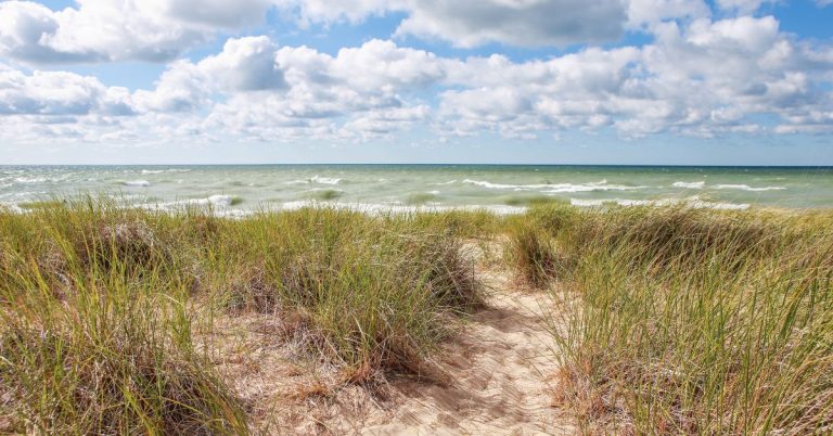 The Roost Consignment is located by the bay in Suttons Bay, MI